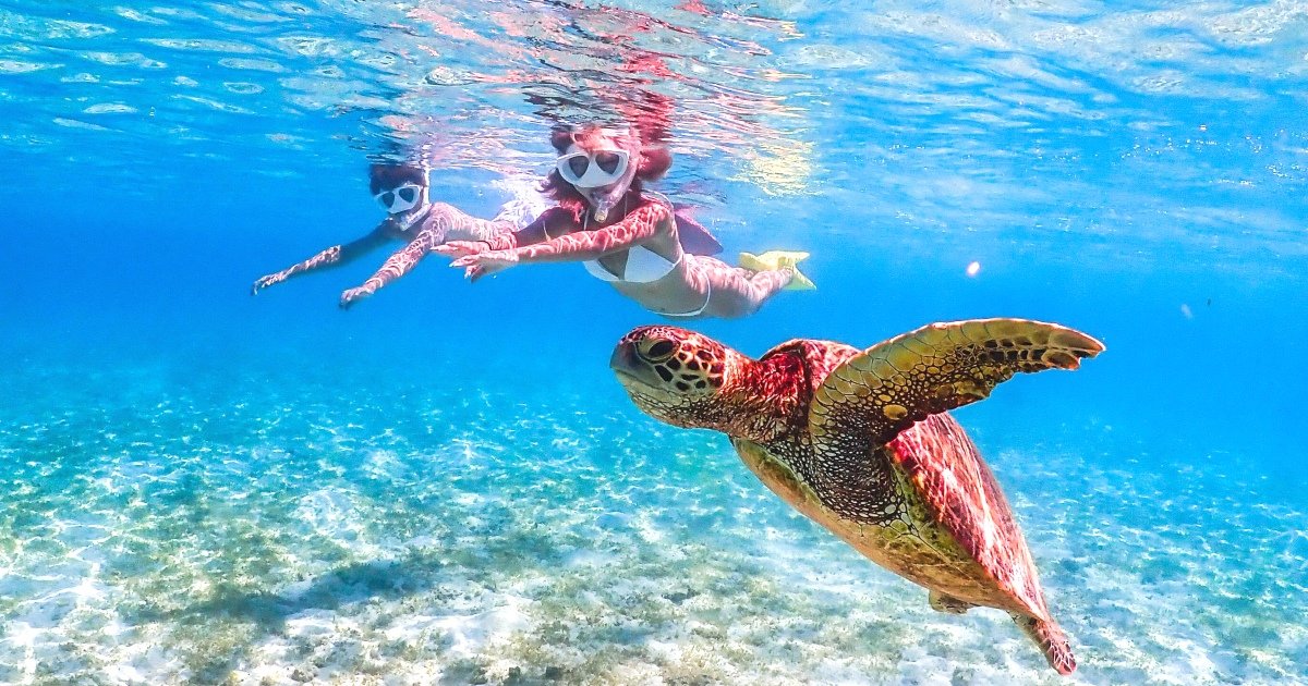 🏖️ 아라구스쿠 해변(新城海岸) 이미지 3